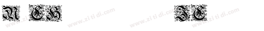 M CHS1p2pNJC字体转换